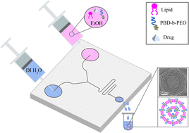 Graphical abstract: Microfluidic synthesis of multilayered lipid–polymer hybrid nanoparticles for the formulation of low solubility drugs