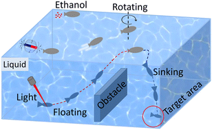 Graphical abstract: A multi-stimulus-responsive bionic fish microrobot for remote intelligent control applications