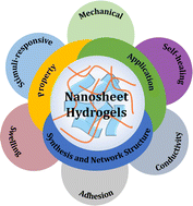 Graphical abstract: Nanosheet–hydrogel composites: from preparation and fundamental properties to their promising applications