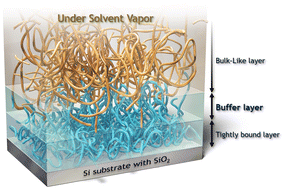 Graphical abstract: Neutron reflectivity study on the nanostructure of PMMA chains near substrate interfaces based on contrast variation accompanied with small molecule sorption