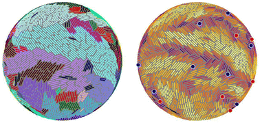 Graphical abstract: Microdomains and stress distributions in bacterial monolayers on curved interfaces