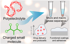 Graphical abstract: Polyelectrolyte-multivalent molecule complexes: physicochemical properties and applications