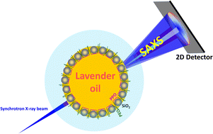 Graphical abstract: Amphiphilic interaction-mediated ordering of nanoparticles in Pickering emulsion droplets