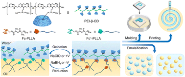 Graphical abstract: Structured liquids stabilized by polyethyleneimine surfactants