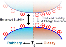 Graphical abstract: Effects of the polymer glass transition on the stability of nanoparticle dispersions