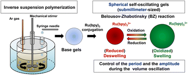 Graphical abstract: Fabrication of submillimeter-sized spherical self-oscillating gels and control of their isotropic volumetric oscillatory behaviors