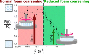 Graphical abstract: Foam coarsening under a steady shear: interplay between bubble rearrangement and film thinning dynamics