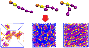 Graphical abstract: Investigating anionic surfactant phase diagrams using dissipative particle dynamics: development of a transferable model