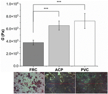 Graphical abstract: Surface properties influence marine biofilm rheology, with implications for ship drag