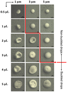 Graphical abstract: Universality in the buckling behavior of drying suspension drops