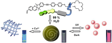 Graphical abstract: Photoresponsive reversible self-assembly of rod-coil amphiphiles containing spiropyran groups