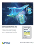 Graphical abstract: Back cover