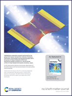 Graphical abstract: Back cover