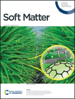 Graphical abstract: Front cover