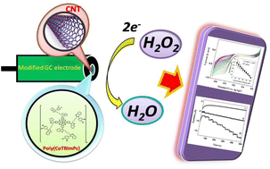 Graphical abstract: Novel polymeric cobalt tetrabenzimidazole phthalocyanine for nanomolar detection of hydrogen peroxide