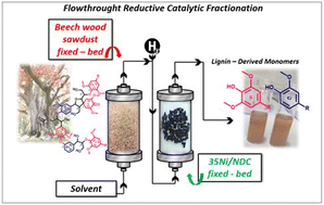 Graphical abstract: Flow-through reductive catalytic fractionation of beech wood sawdust