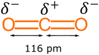 Graphical abstract: A critical review of the production of hydroxyaromatic carboxylic acids as a sustainable method for chemical utilisation and fixation of CO2