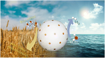 Graphical abstract: Biomass components toward H2 and value-added products by sunlight-driven photocatalysis with electronically integrated Auδ−–TiO2: concurrent utilization of electrons and holes