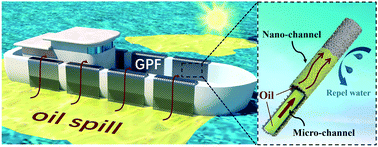 Graphical abstract: Graphene petal foams with hierarchical micro- and nano-channels for ultrafast spontaneous and continuous oil recovery