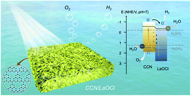 Graphical abstract: In situ growth of crystalline carbon nitride on LaOCl for photocatalytic overall water splitting