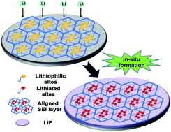 Graphical abstract: Aligned artificial solid electrolyte interphase layers as versatile interfacial stabilizers on lithium metal anodes