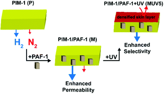 Graphical abstract: Synergistically improved PIM-1 membrane gas separation performance by PAF-1 incorporation and UV irradiation