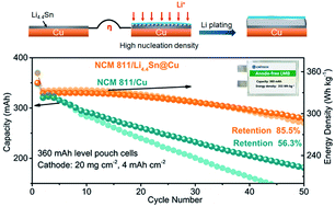 Graphical abstract: A chemical lithiation induced Li4.4Sn lithiophilic layer for anode-free lithium metal batteries