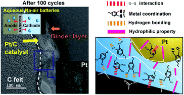 Graphical abstract: Strong interfacial energetics between catalysts and current collectors in aqueous sodium–air batteries