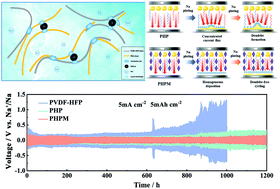 Graphical abstract: A novel gel polymer electrolyte doped with MXene enables dendrite-free cycling for high-performance sodium metal batteries