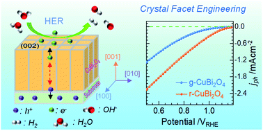 Graphical abstract: Enhanced charge collection and surface activity of a CuBi2O4 photocathode via crystal facet engineering