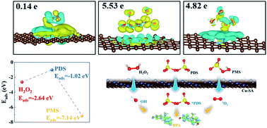 Graphical abstract: Reactive oxygen species regulation and synergistic effect for effective water purification through Fenton-like catalysis on single-atom Cu–N sites