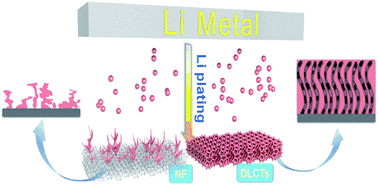 Graphical abstract: Rational design of a self-supporting skeleton decorated with dual lithiophilic Sn-containing and N-doped carbon tubes for dendrite-free lithium metal anodes