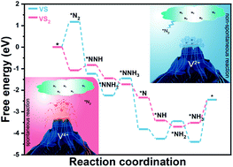 Graphical abstract: In operando identification of the V4+-site-dependent nitrogen reduction reaction of VSx