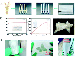 Graphical abstract: Anisotropic, ultrastrong and light-transmission film designed on wheat straw