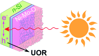 Graphical abstract: Solar-assisted urea oxidation at silicon photoanodes promoted by an amorphous and optically adaptive Ni–Mo–O catalytic layer