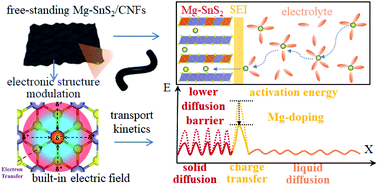 Graphical abstract: Boosting the transport kinetics of free-standing SnS2@Carbon nanofibers by electronic structure modulation for advanced lithium storage
