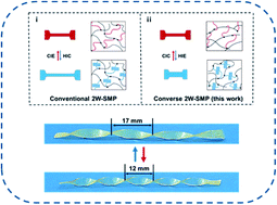 Graphical abstract: Converse two-way shape memory effect through a dynamic covalent network design