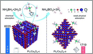 Graphical abstract: Crystal facet effects of platinum single-atom catalysts in hydrolytic dehydrogenation of ammonia borane