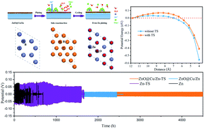 Graphical abstract: Insights into Zn anode surface chemistry for dendrite-free Zn ion batteries
