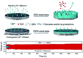 Graphical abstract: Super-zincophilic additive induced interphase modulation enables long-life Zn anodes at high current density and areal capacity