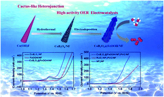 Graphical abstract: Electronic modulation and surface reconstruction of cactus-like CoB2O4@FeOOH heterojunctions for synergistically triggering oxygen evolution reactions