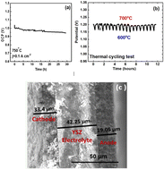 Graphical abstract: A catalyst support for direct-ammonia solid-oxide fuel cell anodes based on lanthanum titanium oxynitride