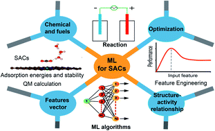 Graphical abstract: Machine learning for design principles for single atom catalysts towards electrochemical reactions