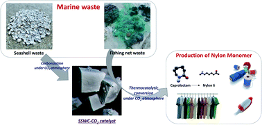 Graphical abstract: Marine waste upcycling—recovery of nylon monomers from fishing net waste using seashell waste-derived catalysts in a CO2-mediated thermocatalytic process