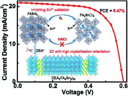 Graphical abstract: Synergistic effect of two hydrochlorides resulting in significantly enhanced performance of tin-based perovskite solar cells with 3D to quasi-2D structural transition