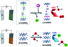 Graphical abstract: Chemical and electrochemical synthesis of cobalt hydroxides: selective phase transformation and application to distinct electrocatalytic reactions