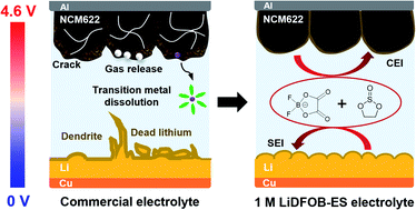 Graphical abstract: Salt–solvent synchro-constructed robust electrolyte–electrode interphase for high-voltage lithium metal batteries