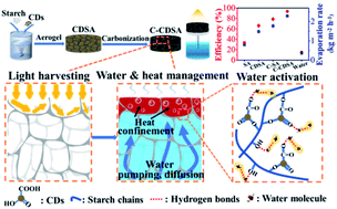 Graphical abstract: A carbonized carbon dot-modified starch aerogel for efficient solar-powered water evaporation