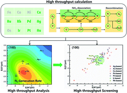 Graphical abstract: Theoretical design principles of metal catalysts for selective ammonia oxidation from high throughput computation