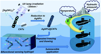 Graphical abstract: Highly sensitive, weatherability strain and temperature sensors based on AgNPs@CNT composite polyvinyl hydrogel